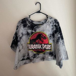 Jurassic Park oversized graphic crop top